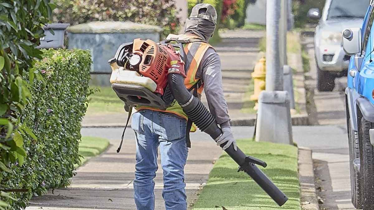 Noisy weekends are numbered: this city will ban gasoline-powered leaf blowers and impose fines of up to $200