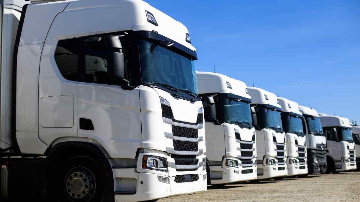 A federal notice threatens to paralyze thousands of professional drivers and cripple part of the logistics of the country&#039;s largest state