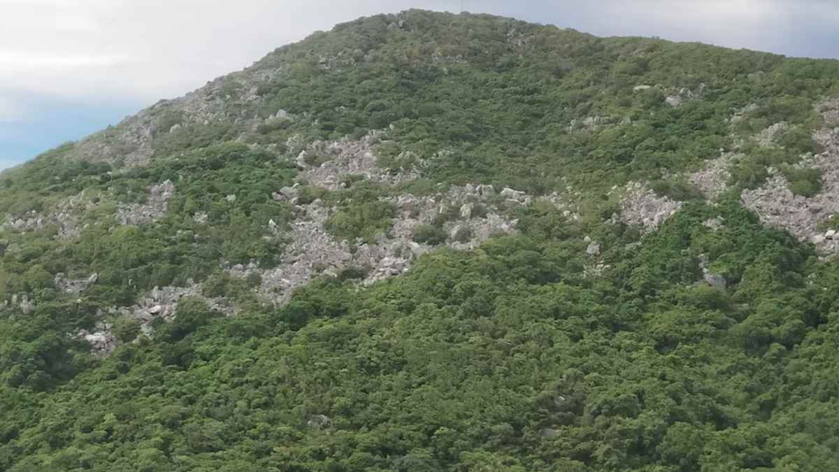 Mountain slopes with dense vegetation and large exposed rock blocks.