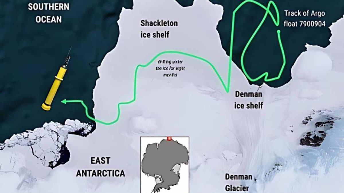 A map showing the 190-mile tracking path of Argo float 7900904 beneath the Shackleton and Denman ice shelves in East Antarctica.