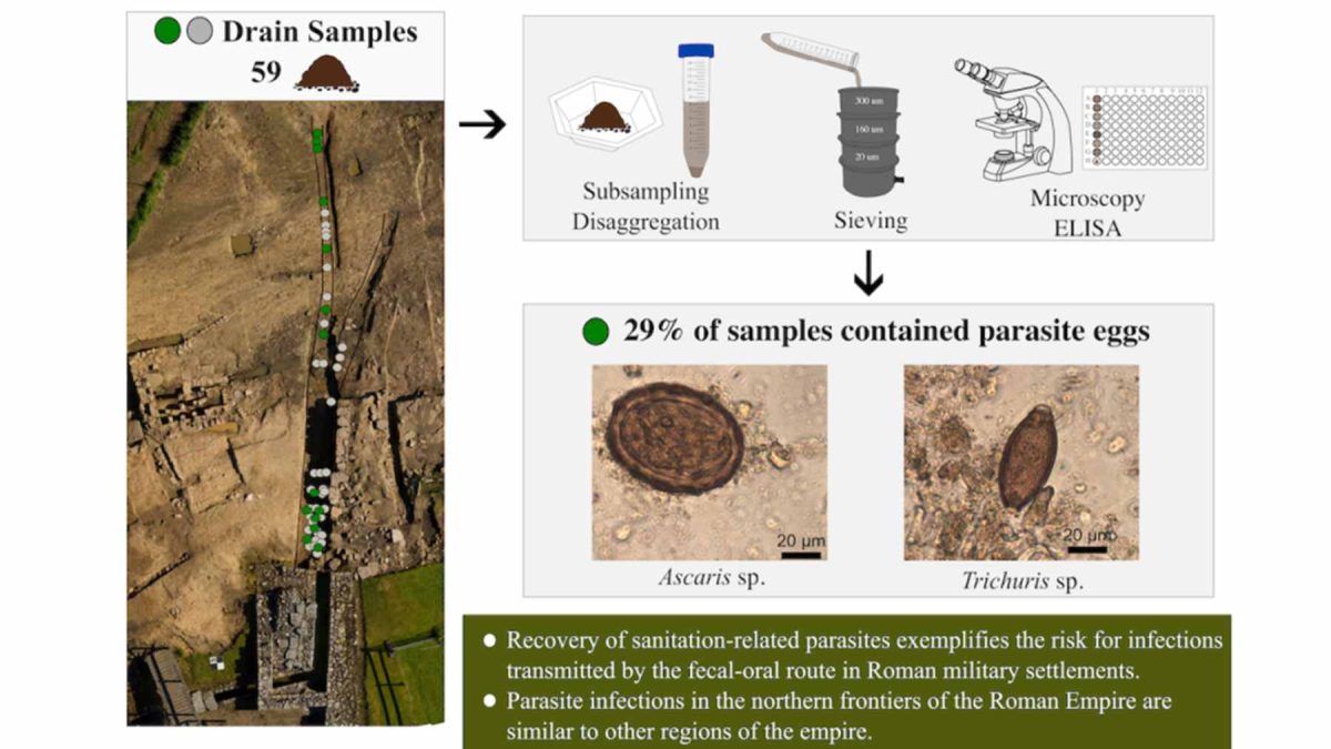 Archaeological map and microscopic images of parasite eggs found in the Roman fort of Vindolanda.