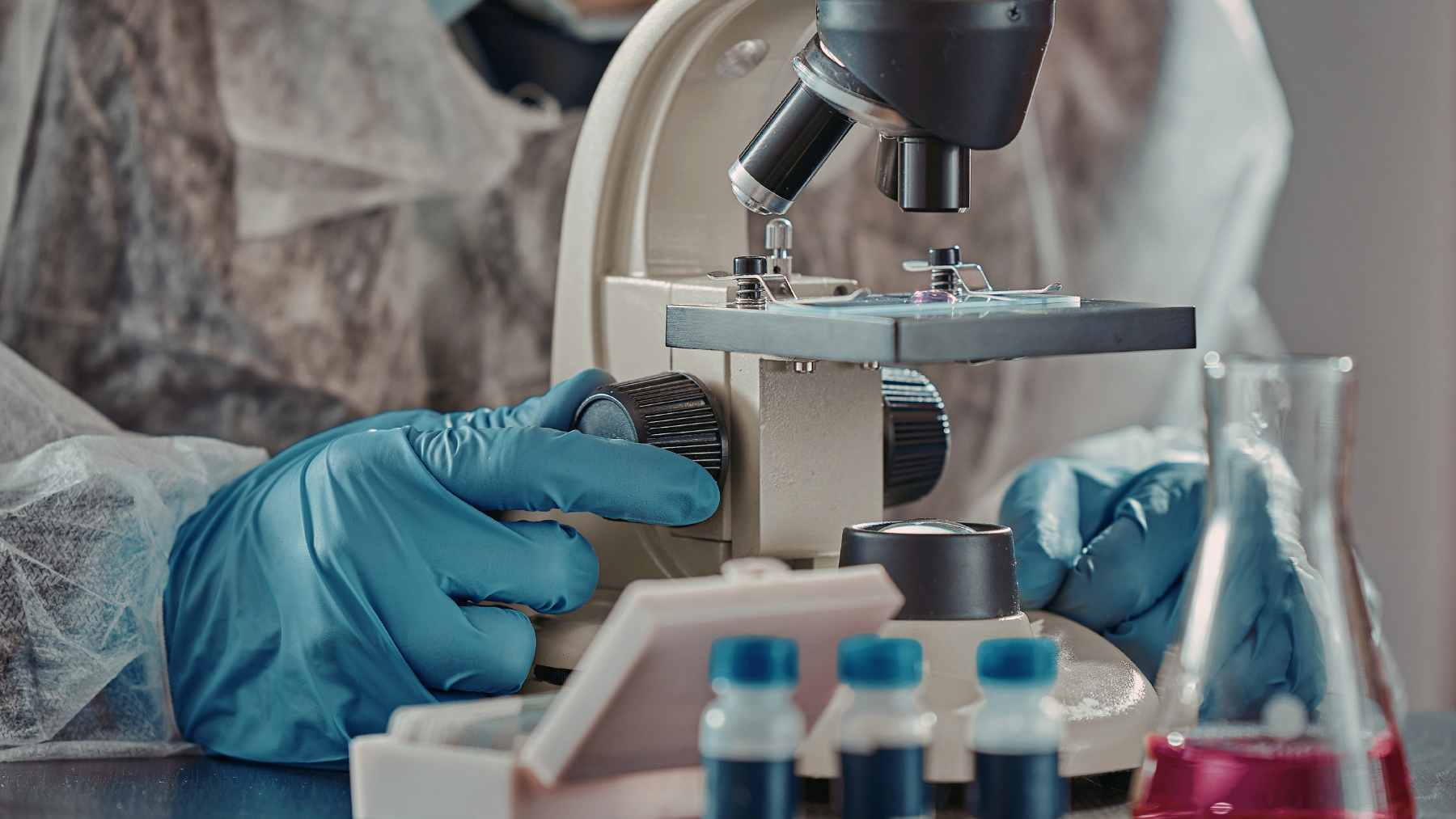 A microscopic view of an Asgard archaeon, the single-celled marine microbe identified as the ancestor of eukaryotes.