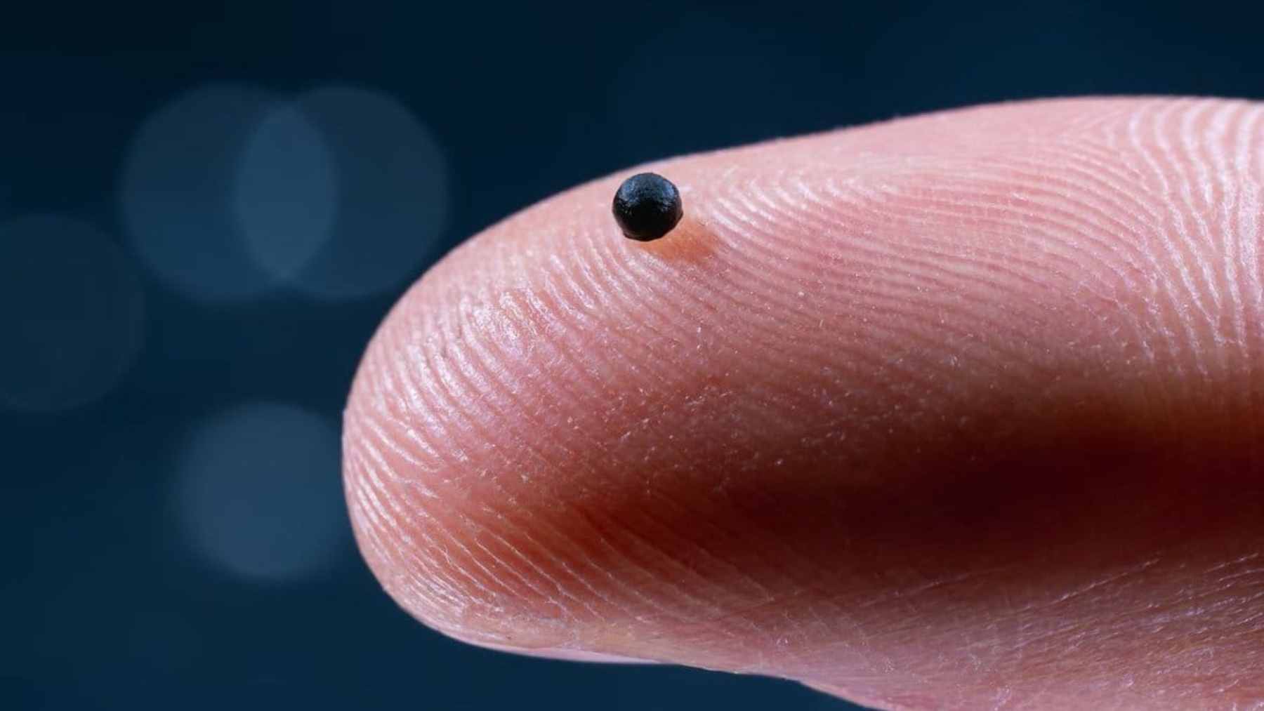 A microscopic view of a spherical gel-based microrobot containing iron oxide nanoparticles and medicinal cargo navigating a simulated blood vessel.