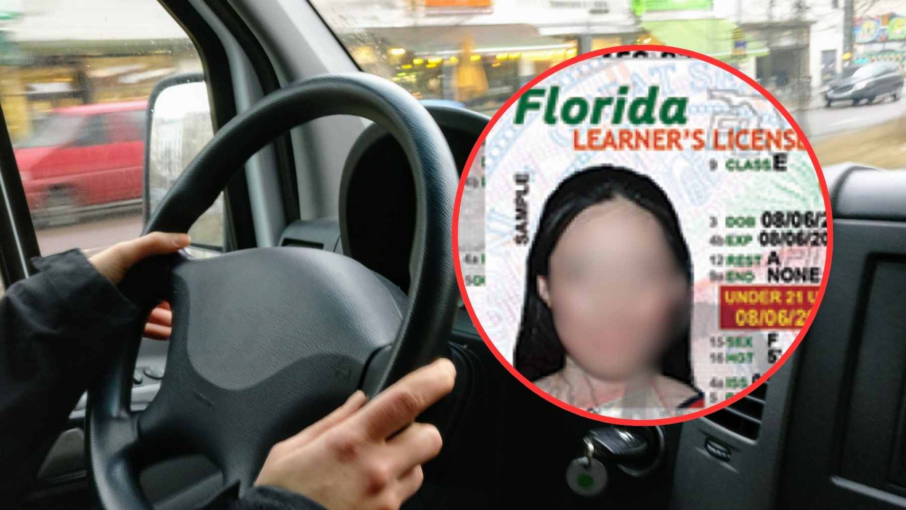 A close-up of a Florida driver's license held in front of a Florida Department of Highway Safety and Motor Vehicles service center.