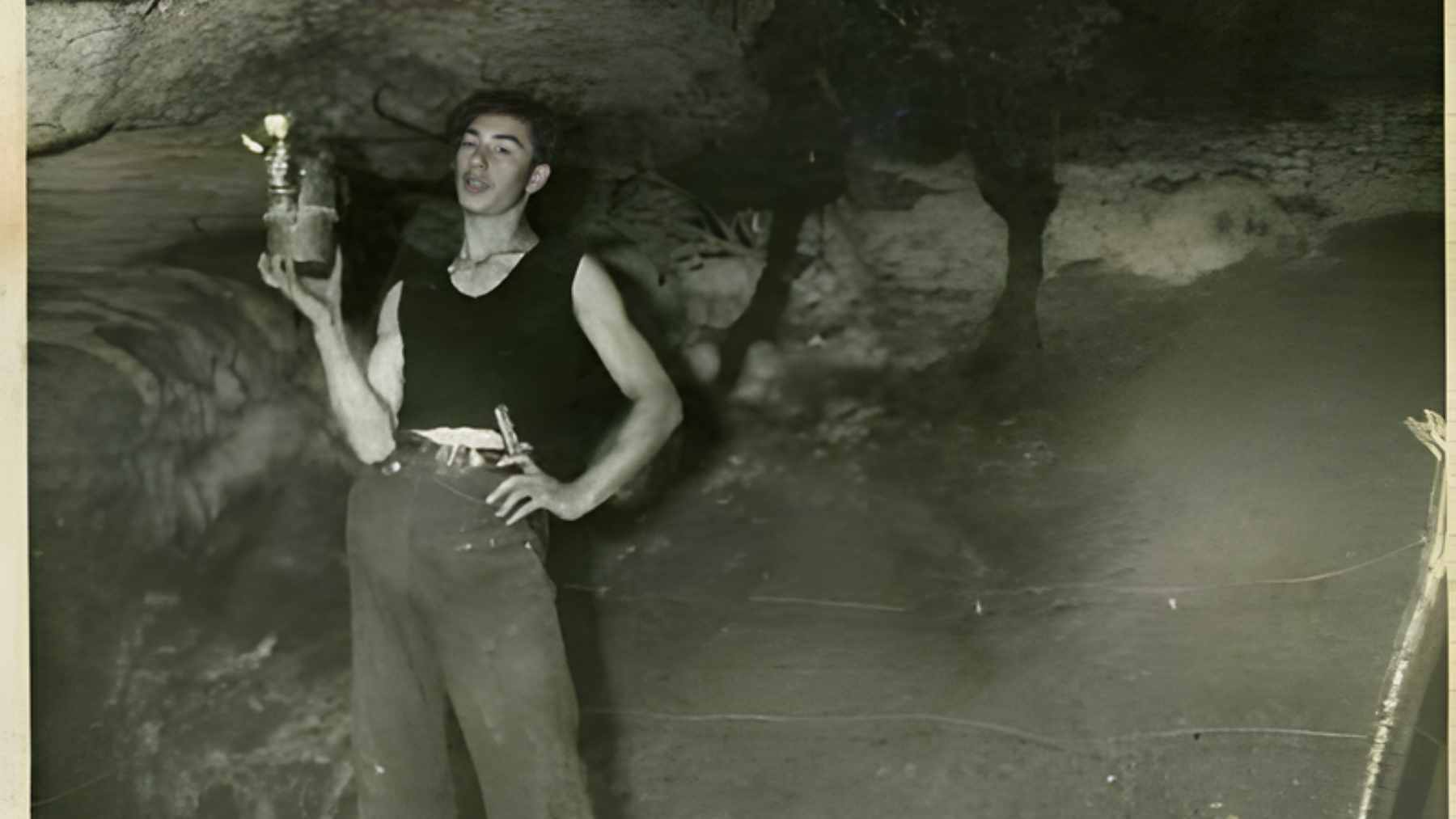 A detailed view of the "Hall of the Bulls" in the Lascaux cave, featuring prehistoric paintings of aurochs, horses, and deer.