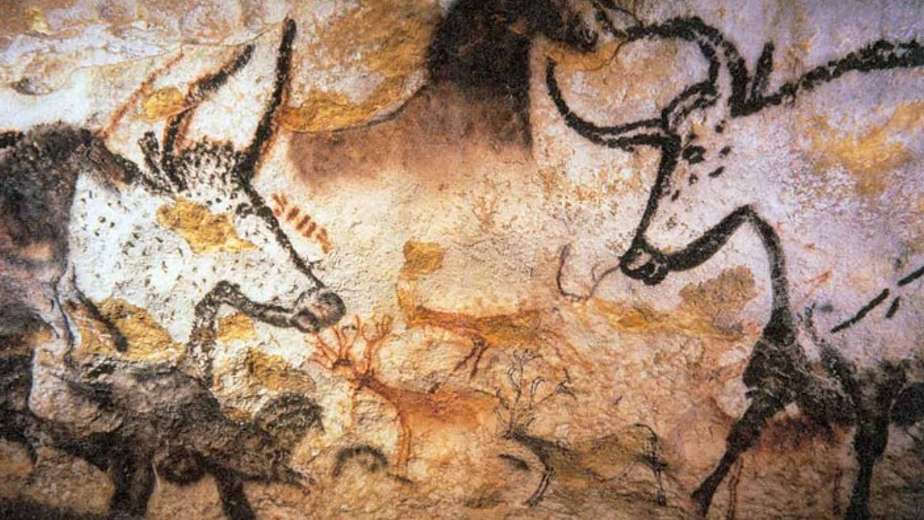 A detailed view of the "Hall of the Bulls" in the Lascaux cave, featuring prehistoric paintings of aurochs, horses, and deer.