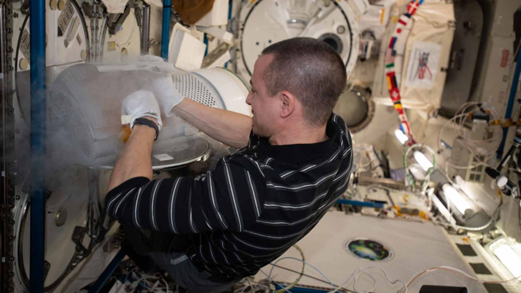A microscopic view of T7 bacteriophages attaching to the surface of an E. coli bacterium during a space-based experiment.