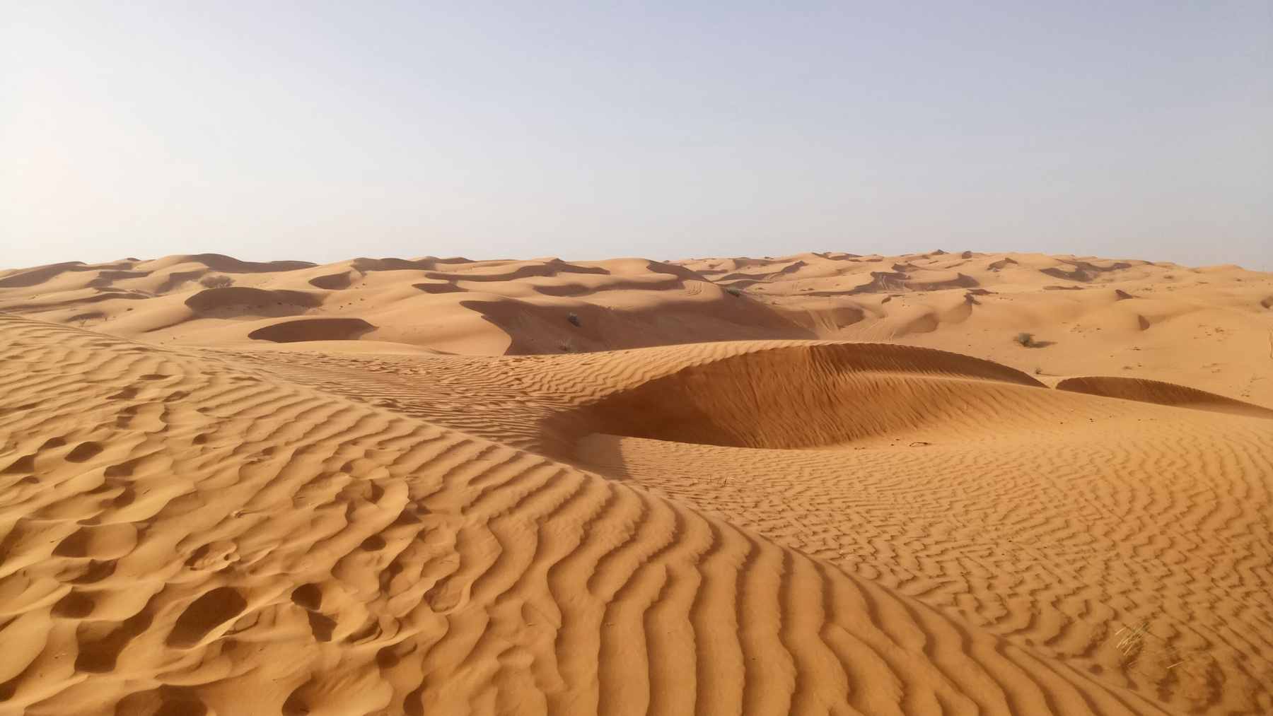 An aerial view from the International Space Station showing bright green circular crop fields in the Nefud Desert near Jubbah, Saudi Arabia.