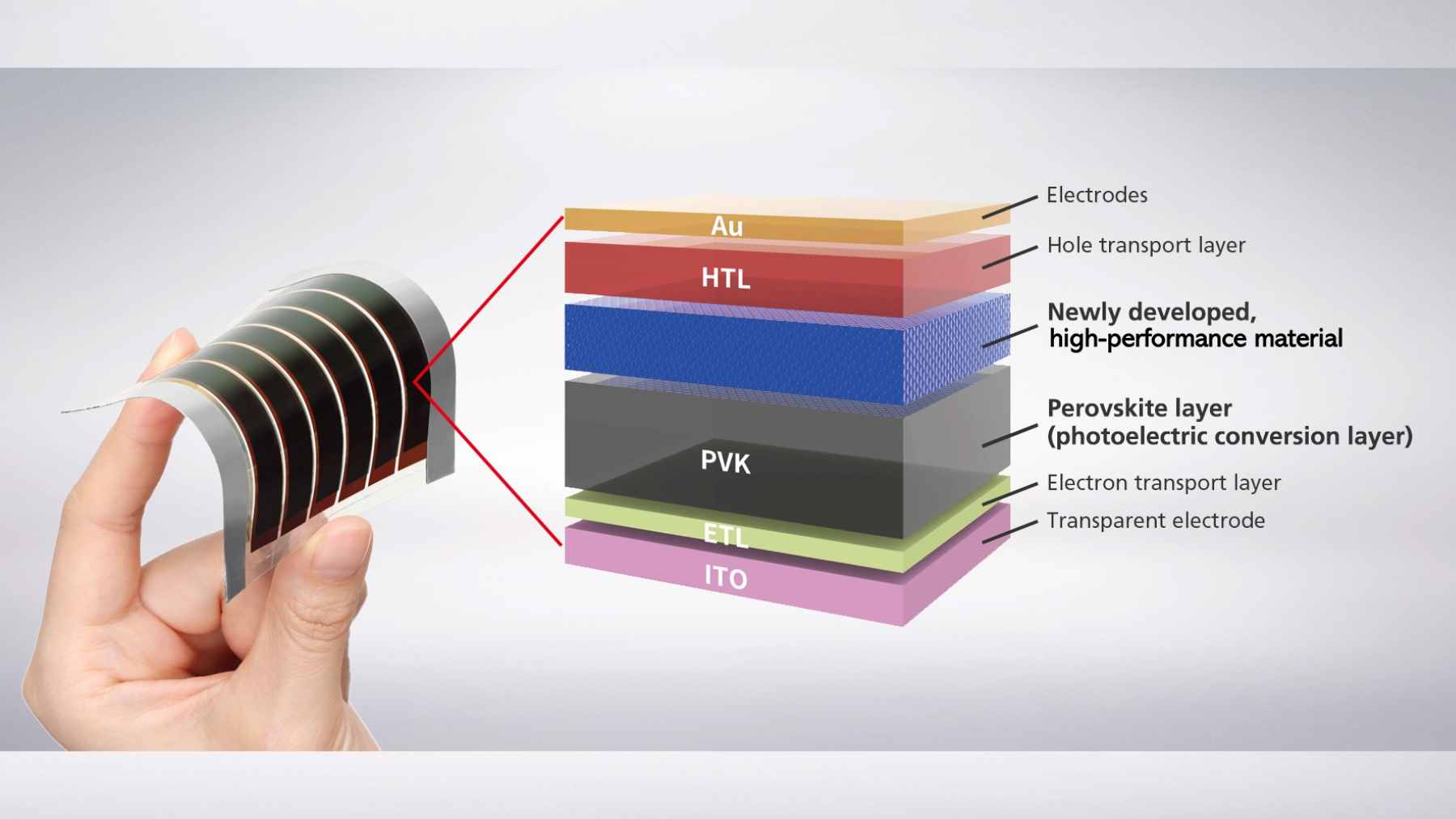 A high-resolution cross-section diagram of a perovskite solar cell showing the added taurine antioxidant layer between the tin dioxide and the perovskite crystal.