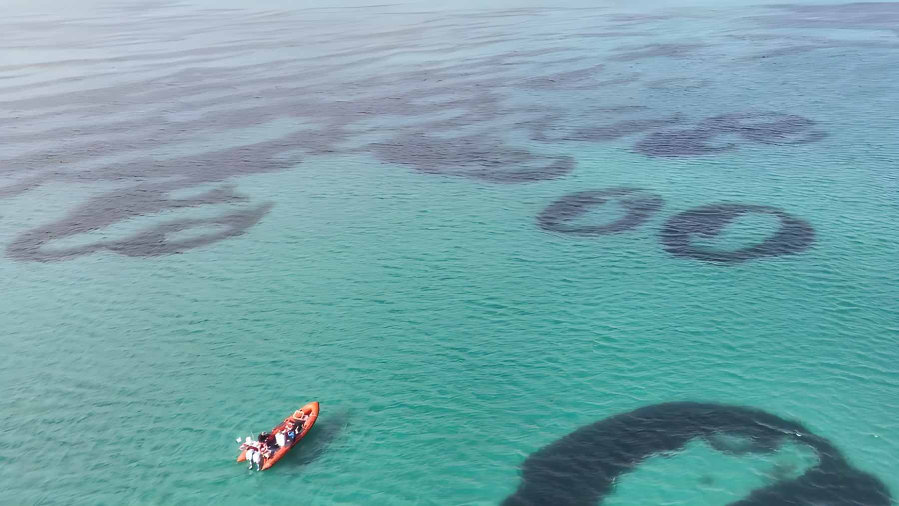Aerial view of circular seagrass formations, known as fairy circles or doughnuts, on the sandy seabed of the Sound of Barra, Scotland.