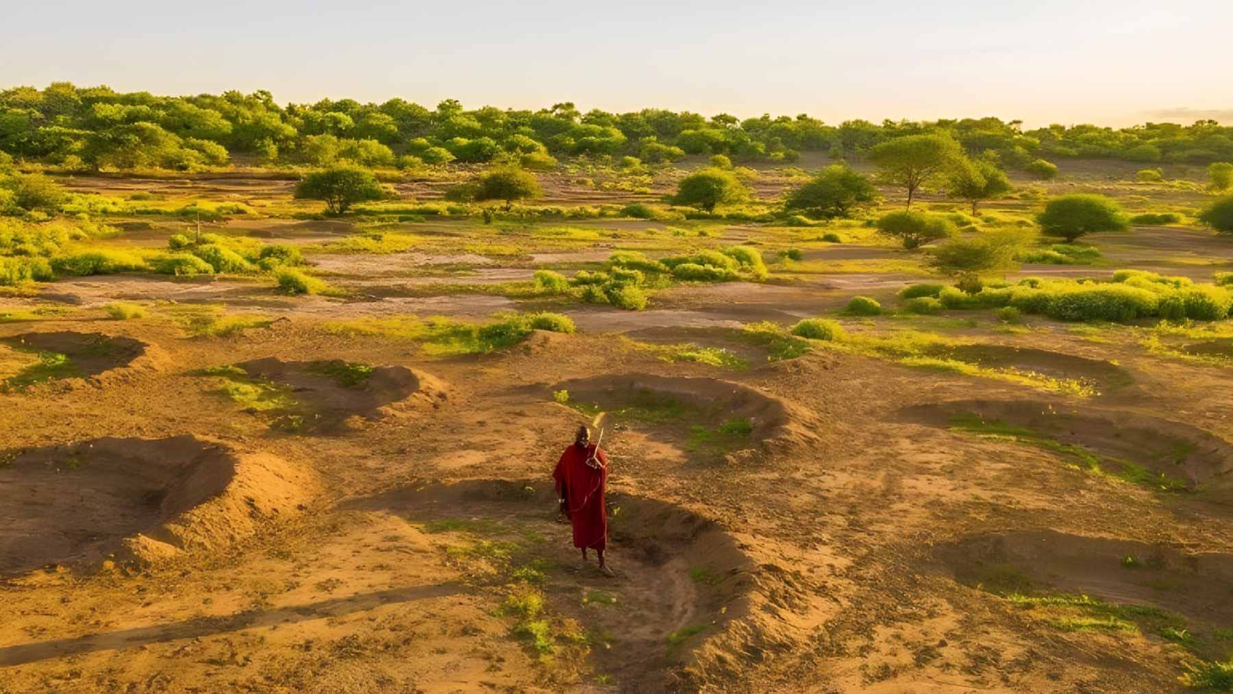 A Tanzanian farmer in Dodoma pruning a regenerating tree stump using the Farmer-Managed Natural Regeneration (FMNR) technique.