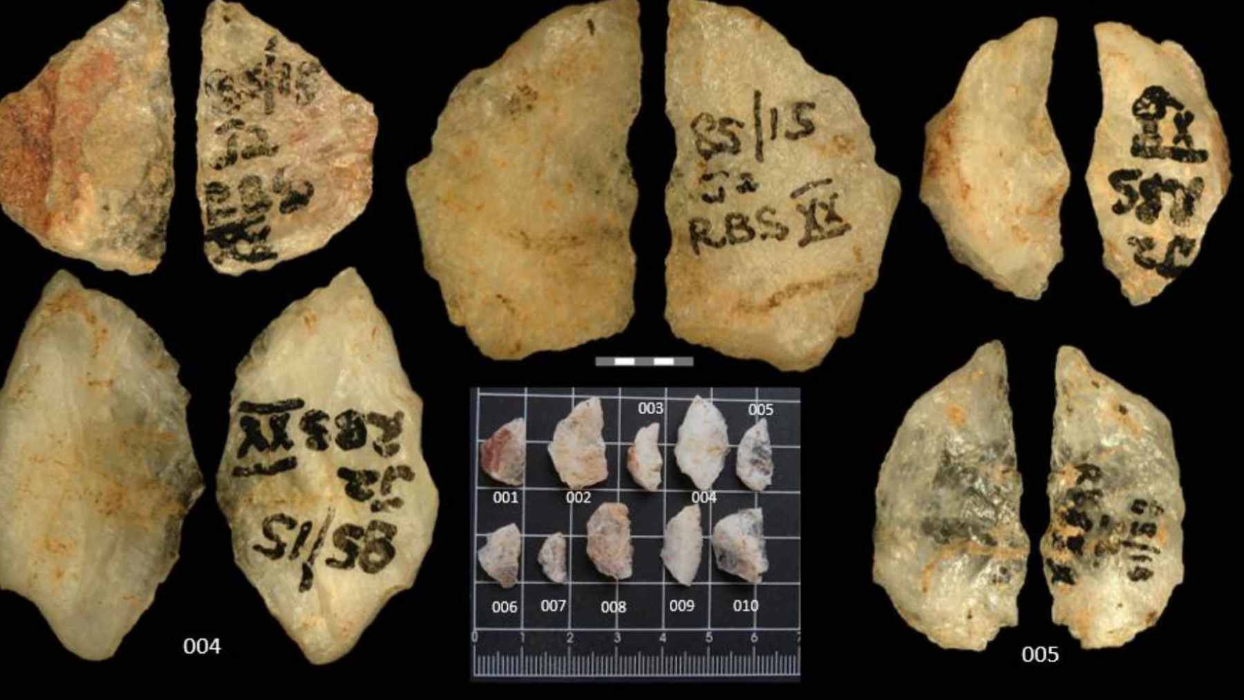 A 60,000-year-old quartz microlith stone tool from Umhlatuzana Rock Shelter showing traces of plant-based poison residue.