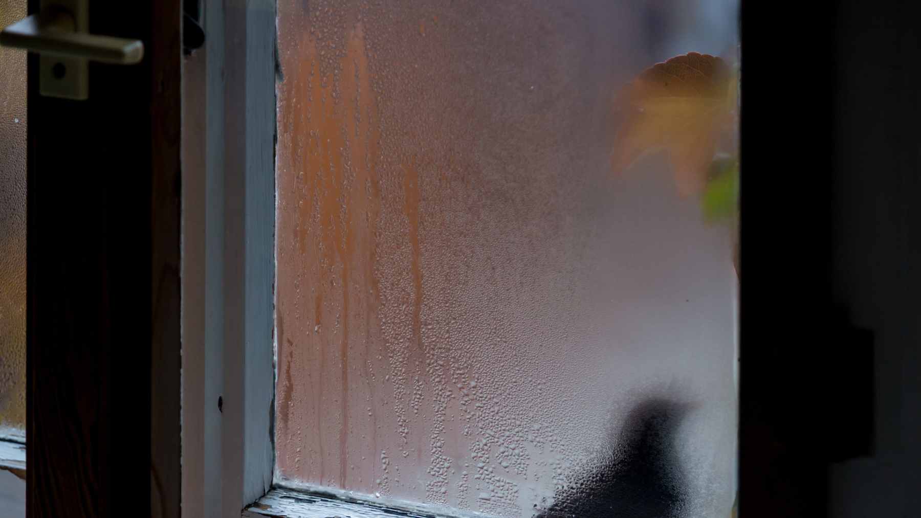 Interior view of a window with heavy condensation and water droplets on the glass pane, indicating high indoor humidity.